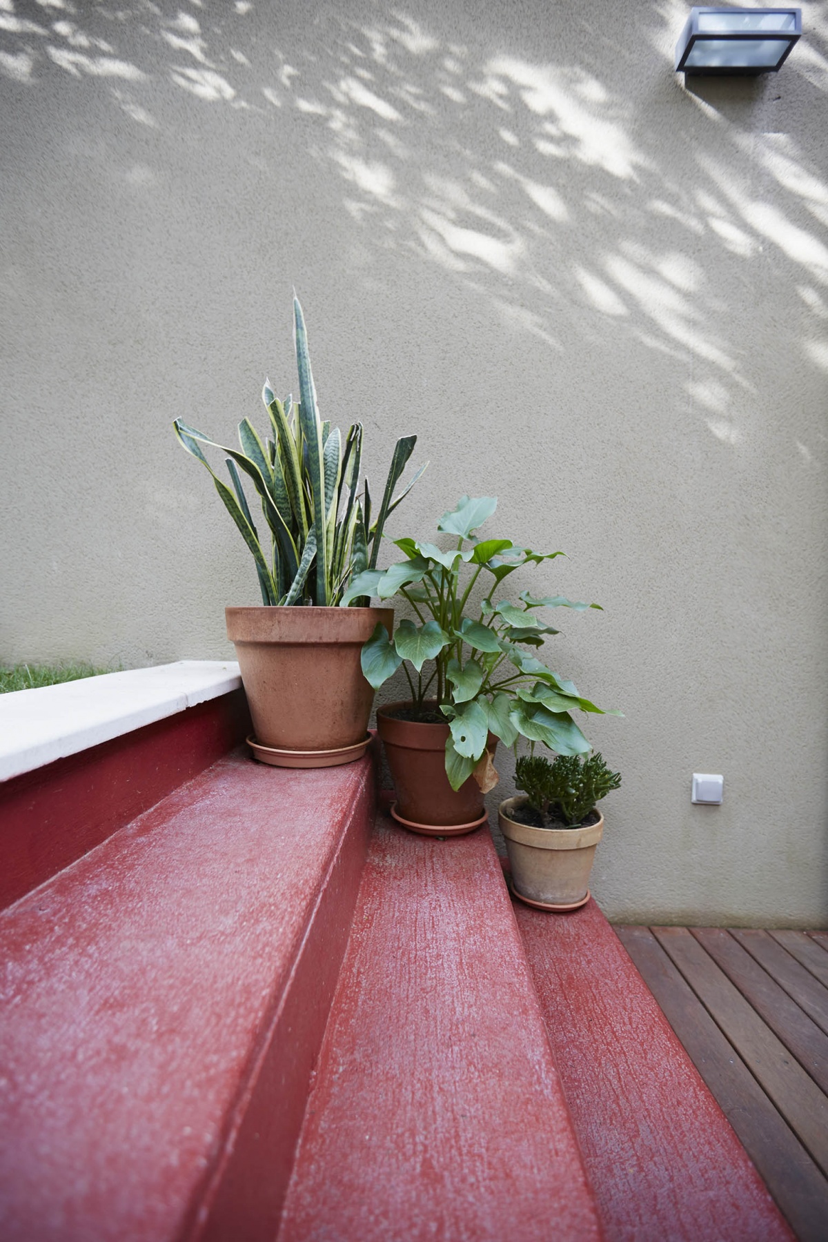 Villa PER : atelier-cc-architecte-toulouse-maison-lauragais-moderne-contemporaine-escalier-deco-plantes-pots