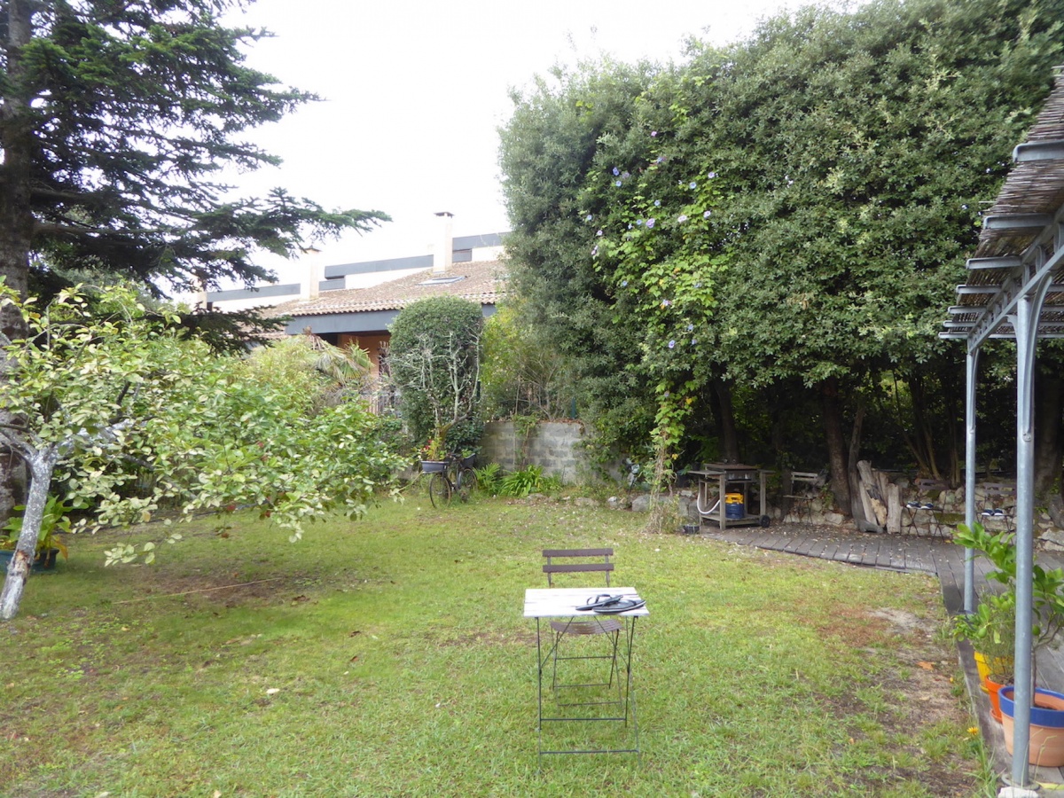 Une basquaise  Arcachon 2024 : Etat des lieux jardin