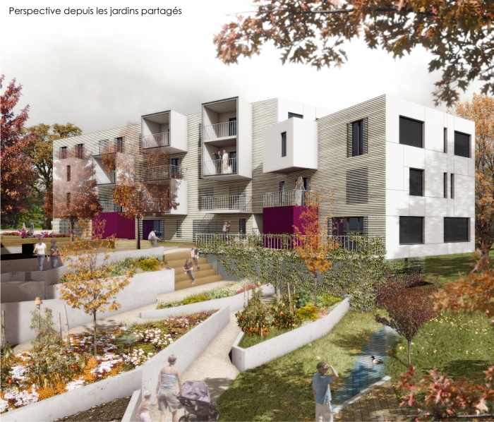 Construction de 39 logements collectifs et 6 semi-collectifs