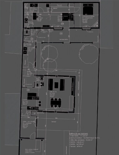 Extension et restructuration d'une maison des annes 50 : plan