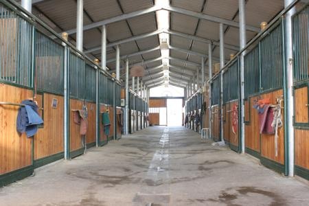 Ecuries, centre de dressage et d'levage de chevaux : Interieurbatprinc/Brice