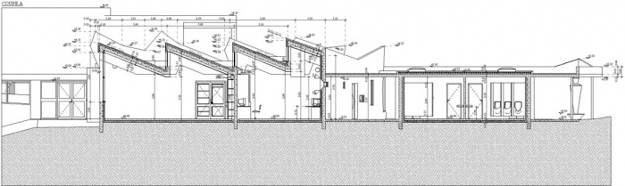 Extension cole primaire : Coupe