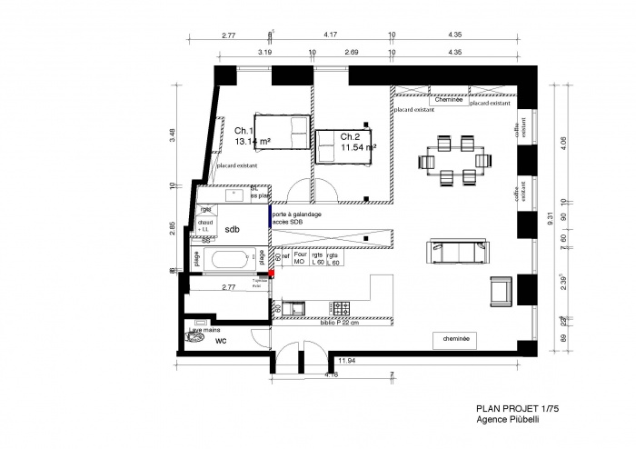 rhabilitation appartement 19 me en  hypercentre : plan projet
