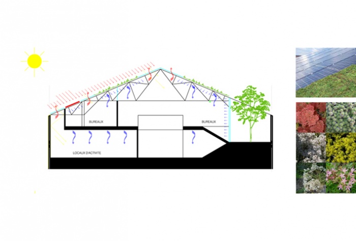 ECO-BUREAU : BLJ-ESQ facades (1)