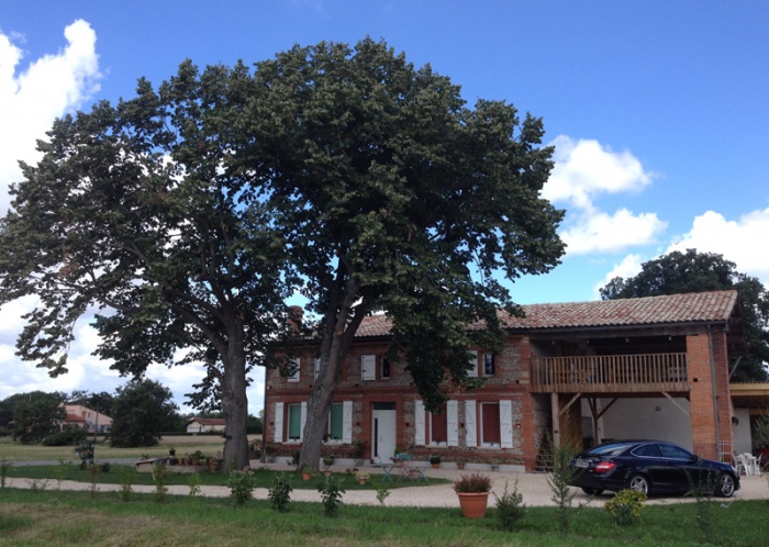 RESTAURATION D'UNE VIEILLE MAISON TOULOUSAINE : image_projet_mini_74207