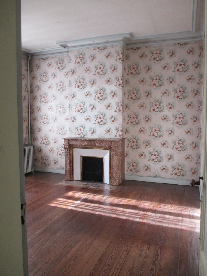 Une maison bourgeoise devient familiale 2017 : IMG_7253.JPG
