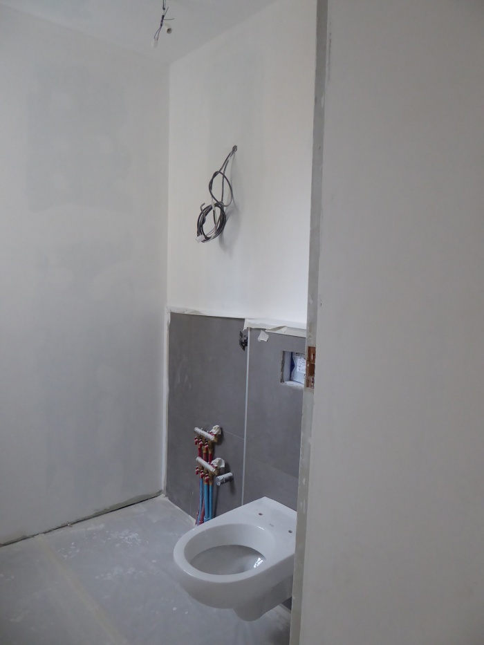 Une maison bourgeoise devient familiale 2017 : P1030540.JPG