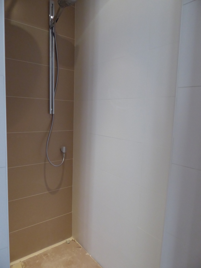 Une maison bourgeoise devient familiale 2017 : P1040115.JPG