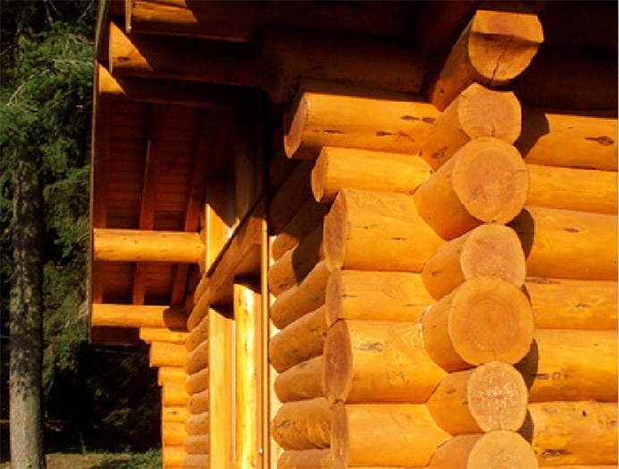 Maison  ossature bois et toiture vgtalise : image_projet_mini_97930